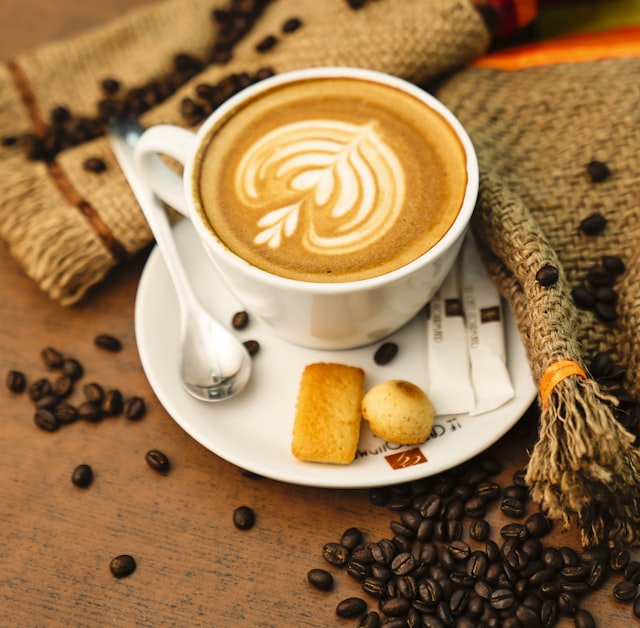 Vettore Solo Espresso Machine